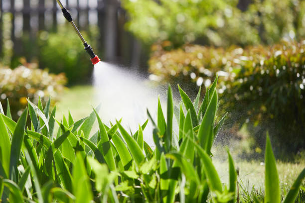 24/7 Emergency Mosquito Control experts in Acalanes Ridge, CA